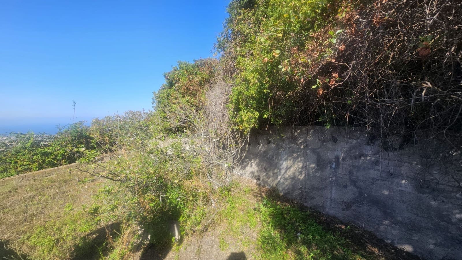 Finca/Hus på landet till salu i Guimar - 240 000 € (Ref: 9020644)