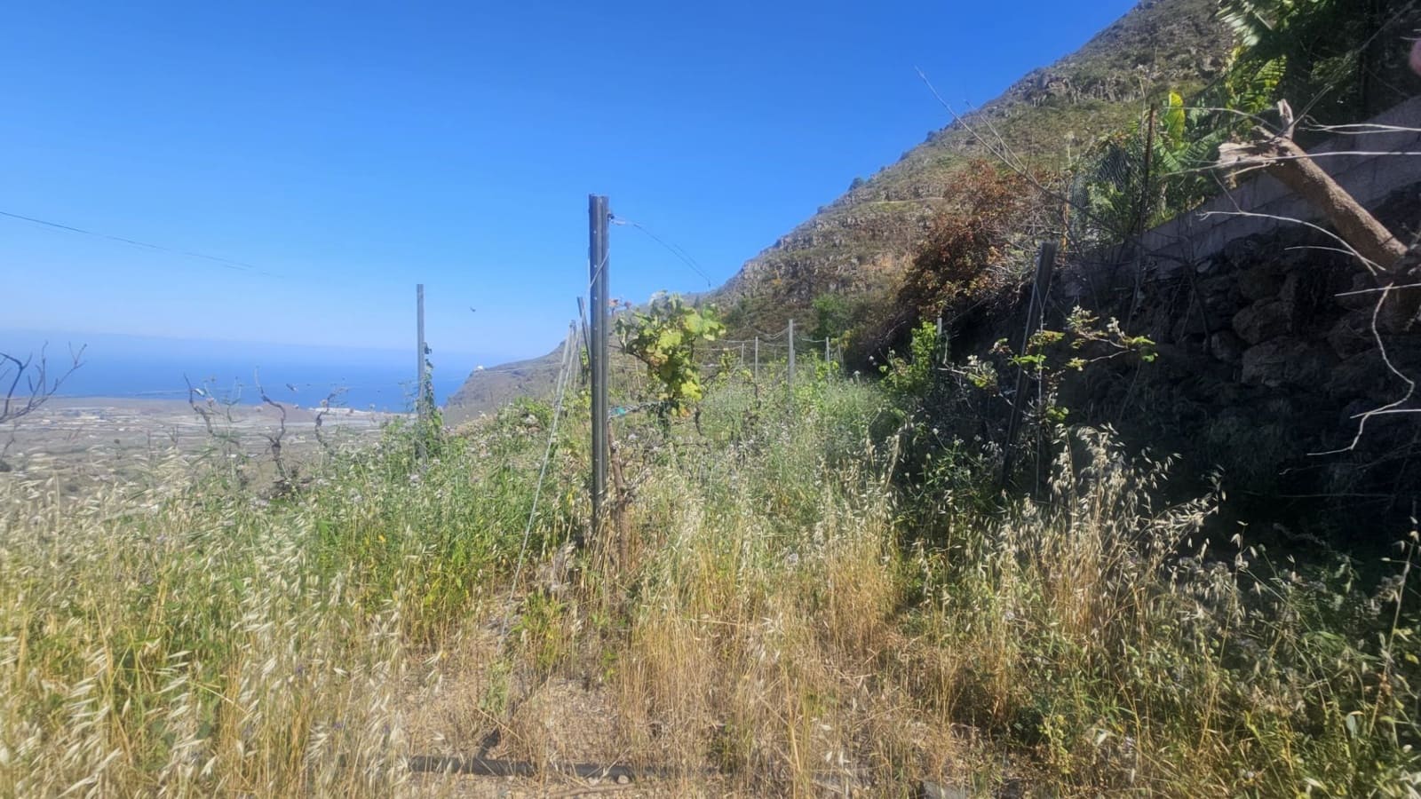 Finca/Hus på landet till salu i Guimar - 240 000 € (Ref: 9020644)