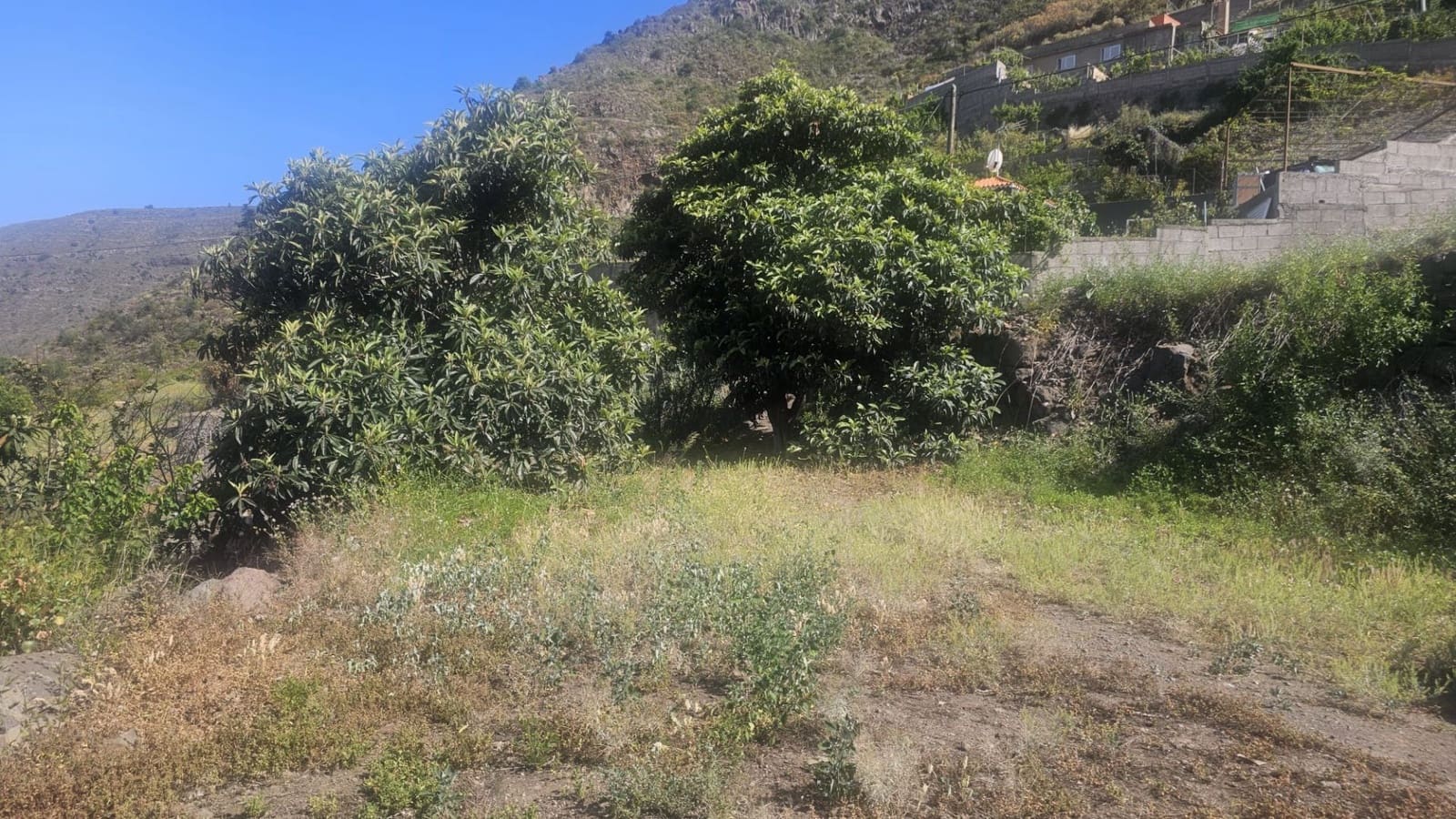 Finca/Hus på landet till salu i Guimar - 240 000 € (Ref: 9020644)