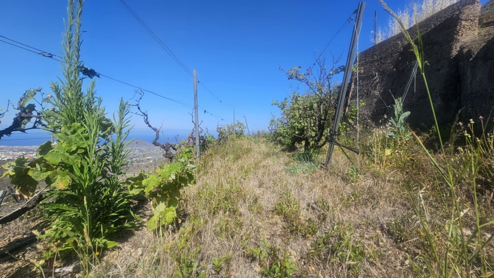 Finca/Hus på landet till salu i Guimar - 240 000 € (Ref: 9020644)