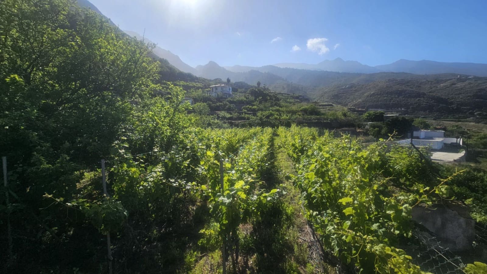 Finca/Hus på landet till salu i Guimar - 240 000 € (Ref: 9020644)