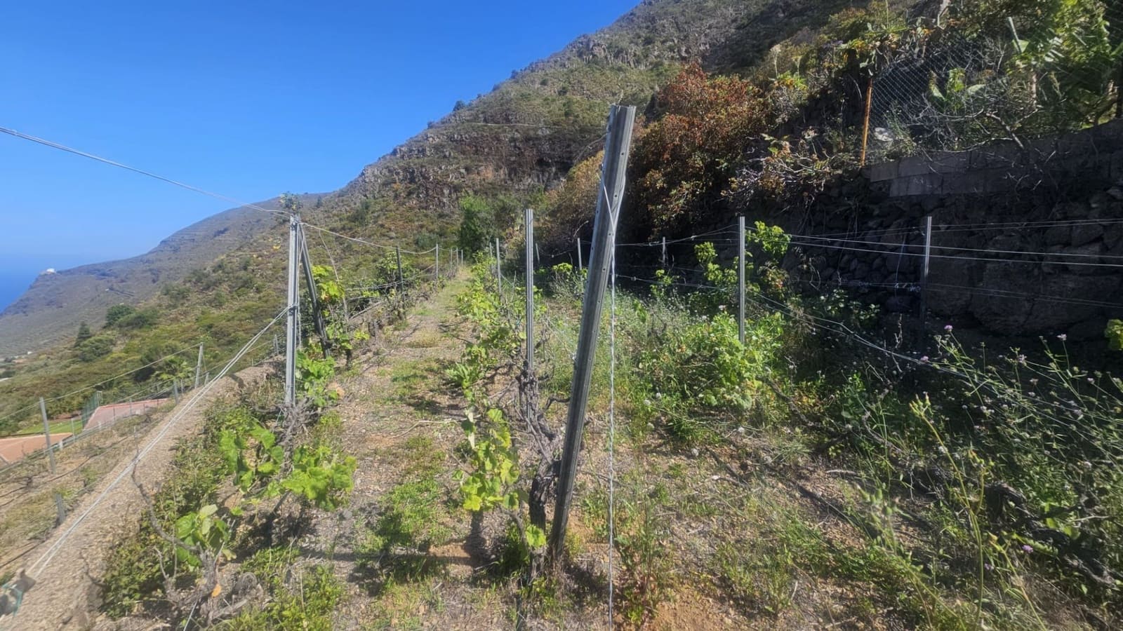 Finca/Hus på landet till salu i Guimar - 240 000 € (Ref: 9020644)