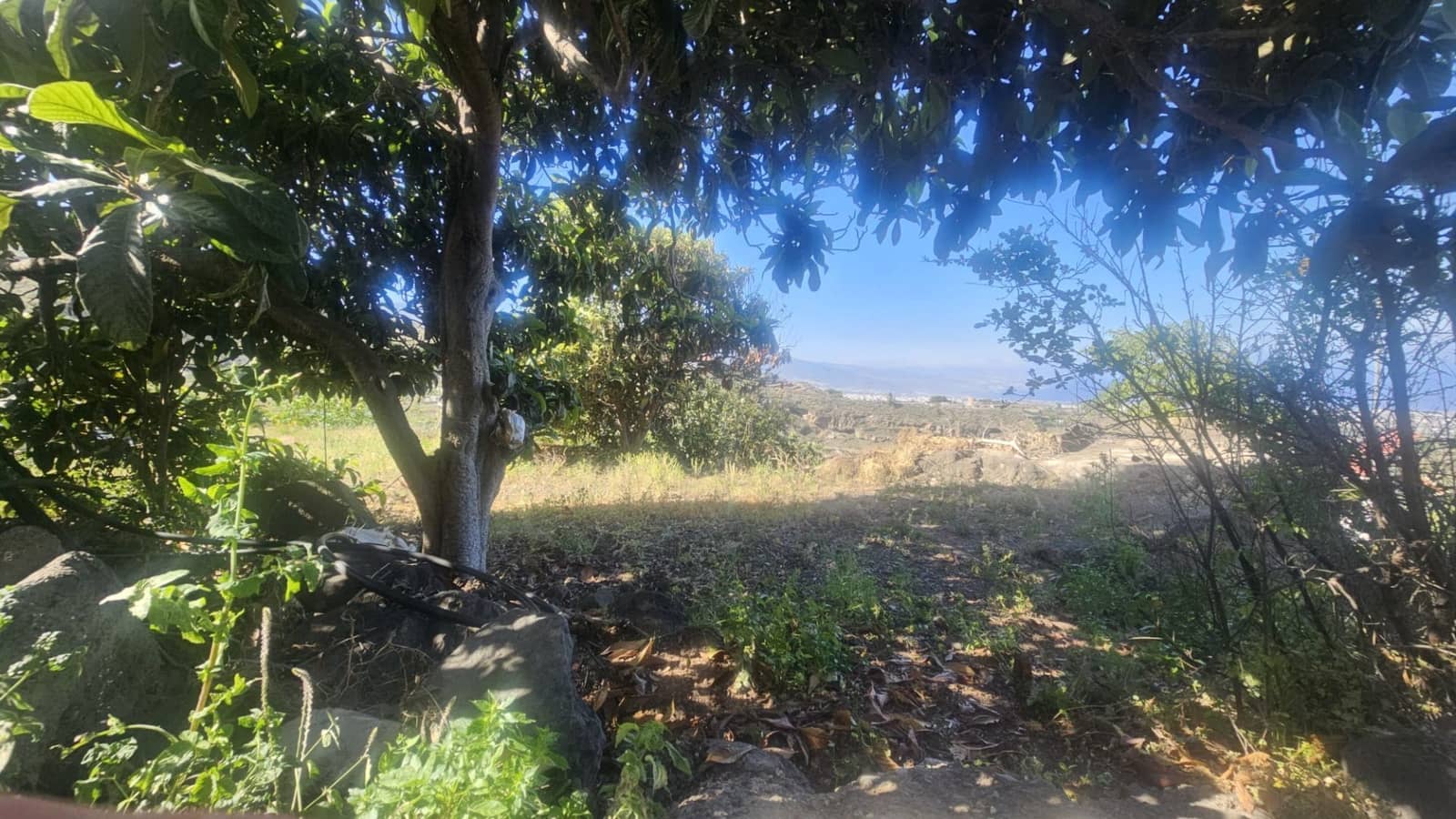 Finca/Hus på landet till salu i Guimar - 240 000 € (Ref: 9020644)