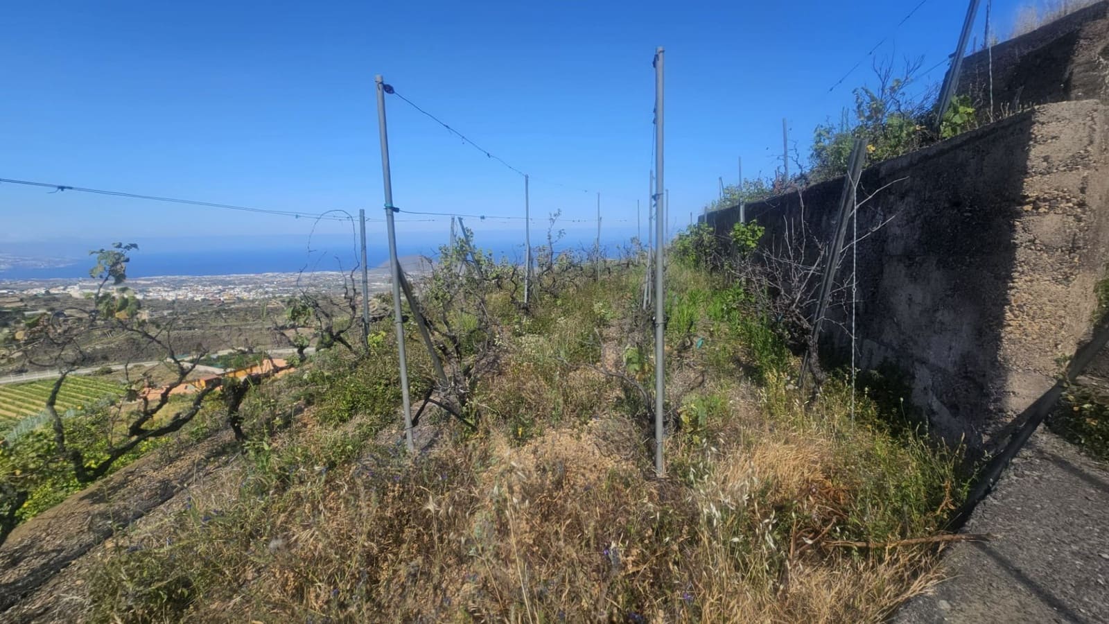 Finca/Hus på landet till salu i Guimar - 240 000 € (Ref: 9020644)