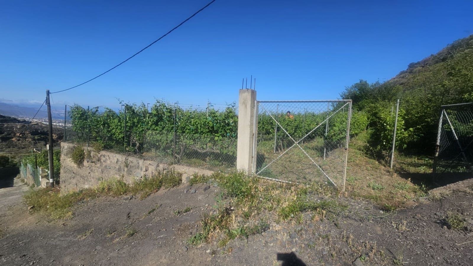 Finca/Hus på landet till salu i Guimar - 240 000 € (Ref: 9020644)