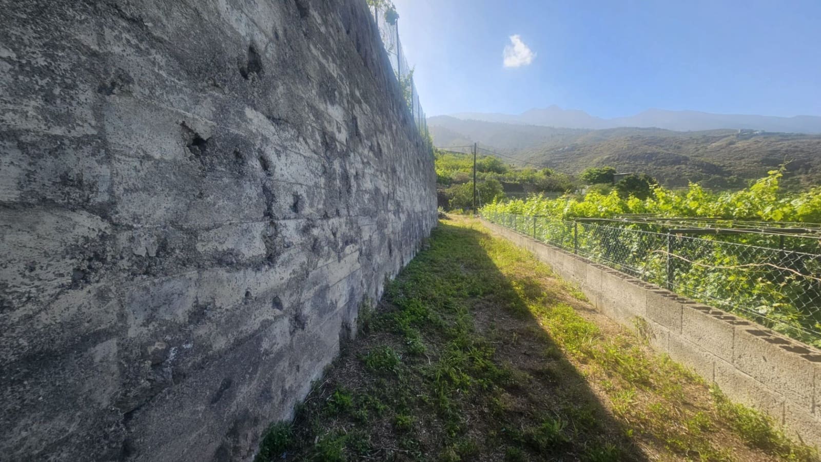 Finca/Hus på landet till salu i Guimar - 240 000 € (Ref: 9020644)