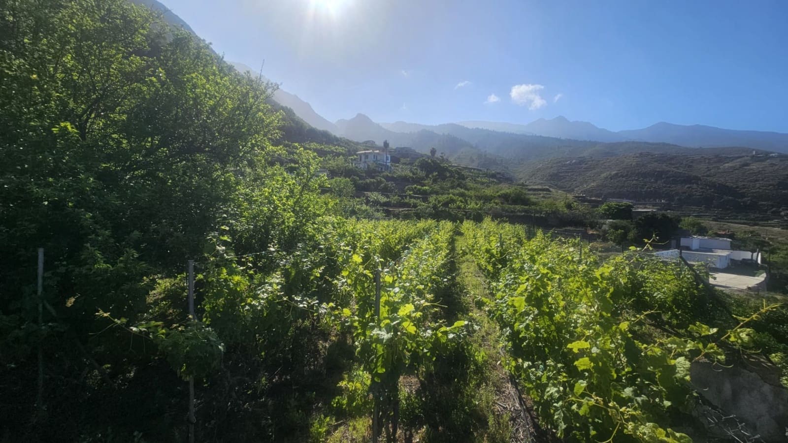 Finca/Hus på landet till salu i Guimar - 240 000 € (Ref: 9020644)