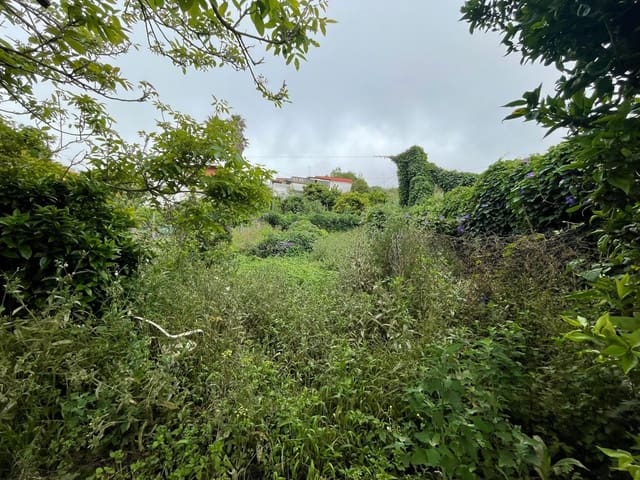 3 slaapkamer Villa te koop in Tacoronte - € 339.900 (Ref: 9113922)