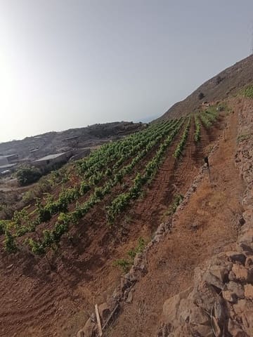 Finca/Landehus til salg i Villa de Arico, Arico - € 300.000 (Ref: 9145264)