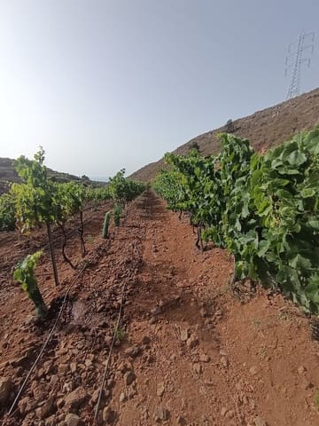 Finca/Landehus til salg i Villa de Arico, Arico - € 300.000 (Ref: 9145264)