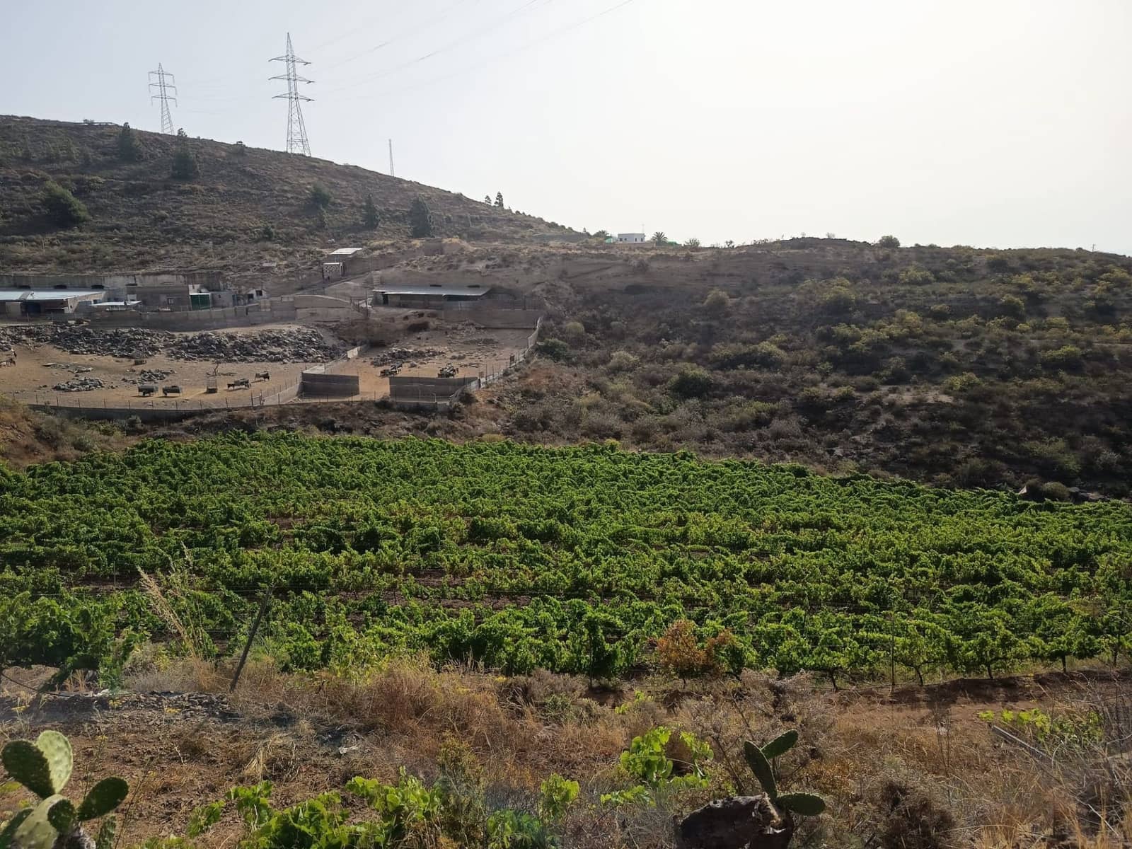 Finca/Landehus til salg i Villa de Arico - € 300.000 (Ref: 9145264)