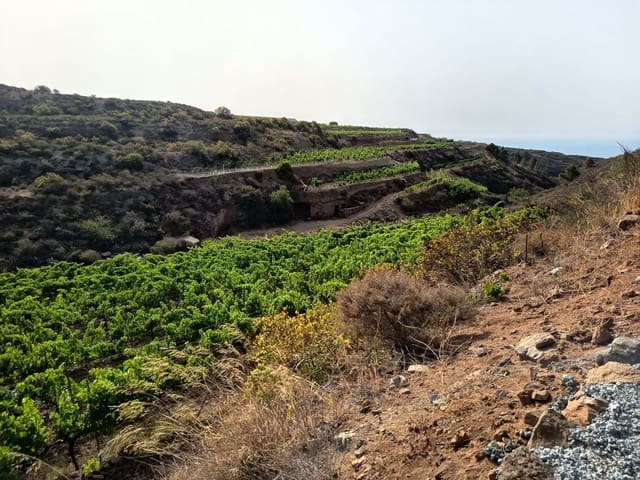 Finca/Landehus til salg i Villa de Arico, Arico - € 300.000 (Ref: 9145264)