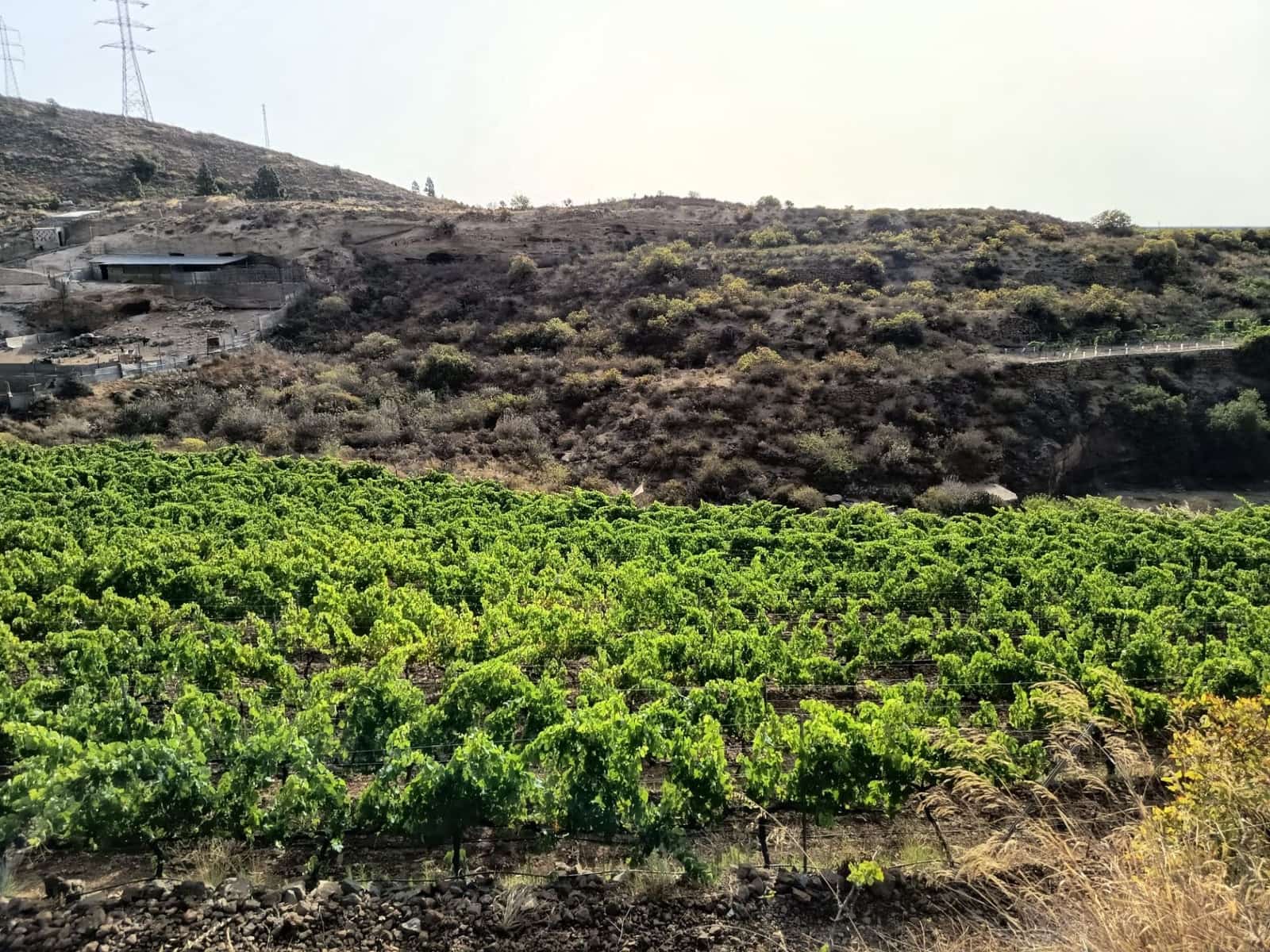 Finca/Landehus til salg i Villa de Arico - € 300.000 (Ref: 9145264)