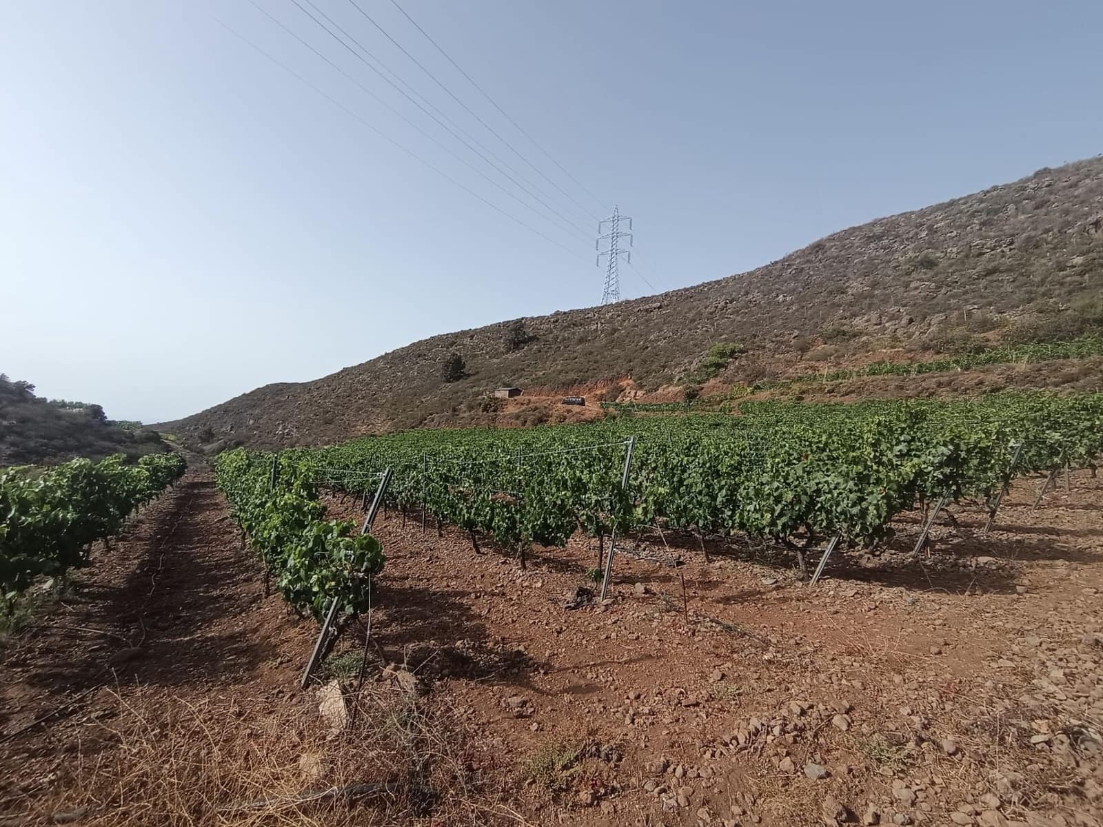 Finca/Landehus til salg i Villa de Arico - € 300.000 (Ref: 9145264)