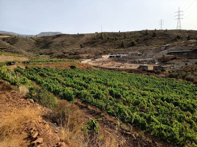 Finca/Landehus til salg i Villa de Arico, Arico - € 300.000 (Ref: 9145264)