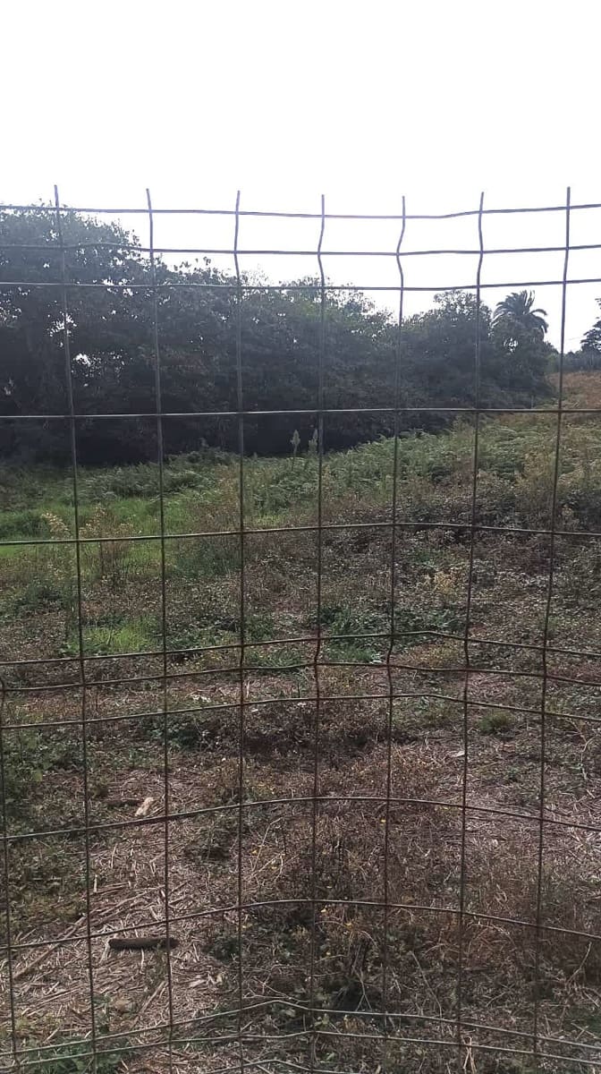 3 slaapkamer Villa te koop in Tacoronte met garage - € 750.000 (Ref: 9353225)