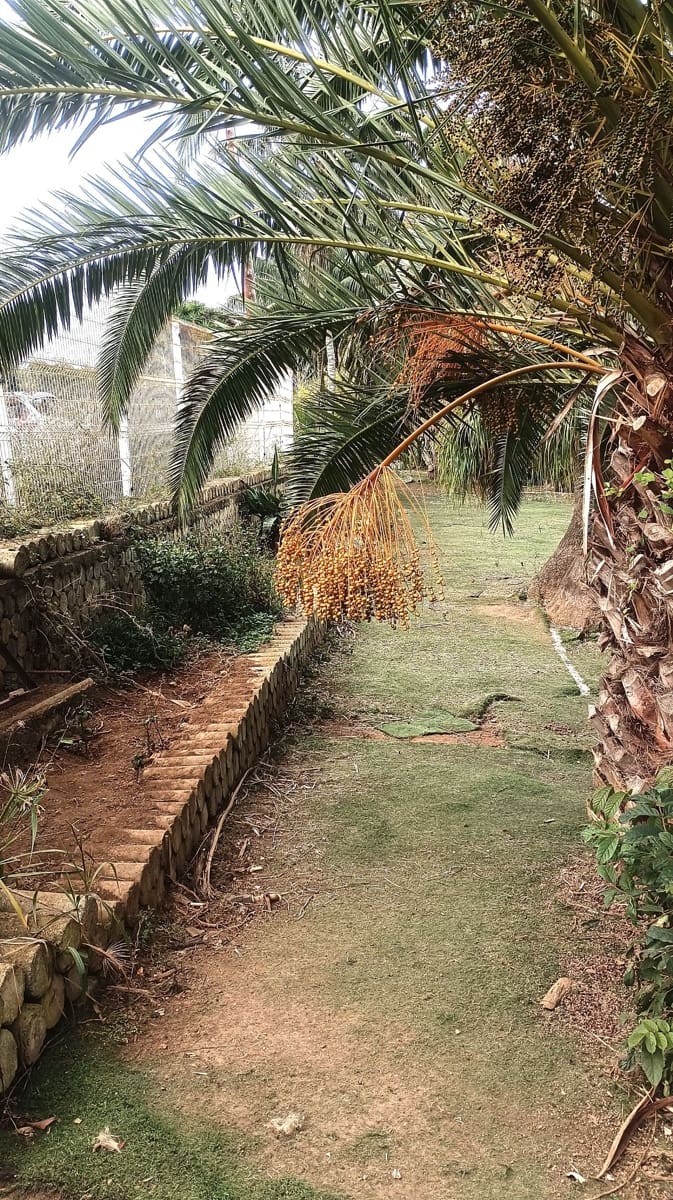 3 slaapkamer Villa te koop in Tacoronte met garage - € 750.000 (Ref: 9353225)