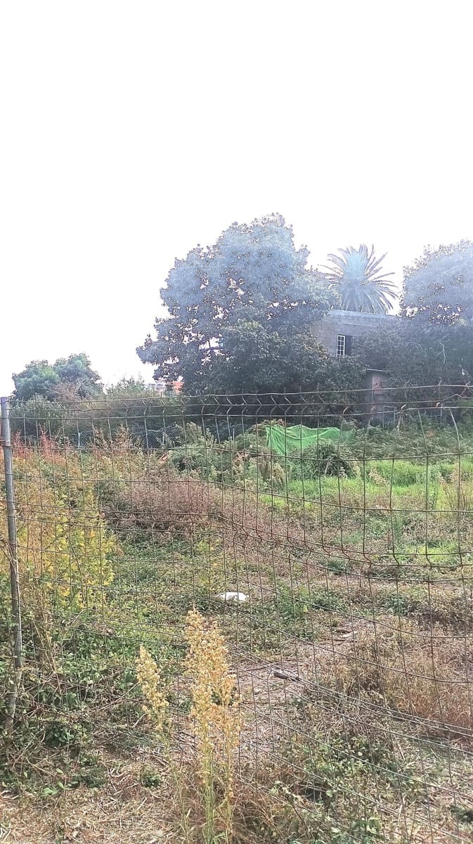 3 slaapkamer Villa te koop in Tacoronte met garage - € 750.000 (Ref: 9353225)