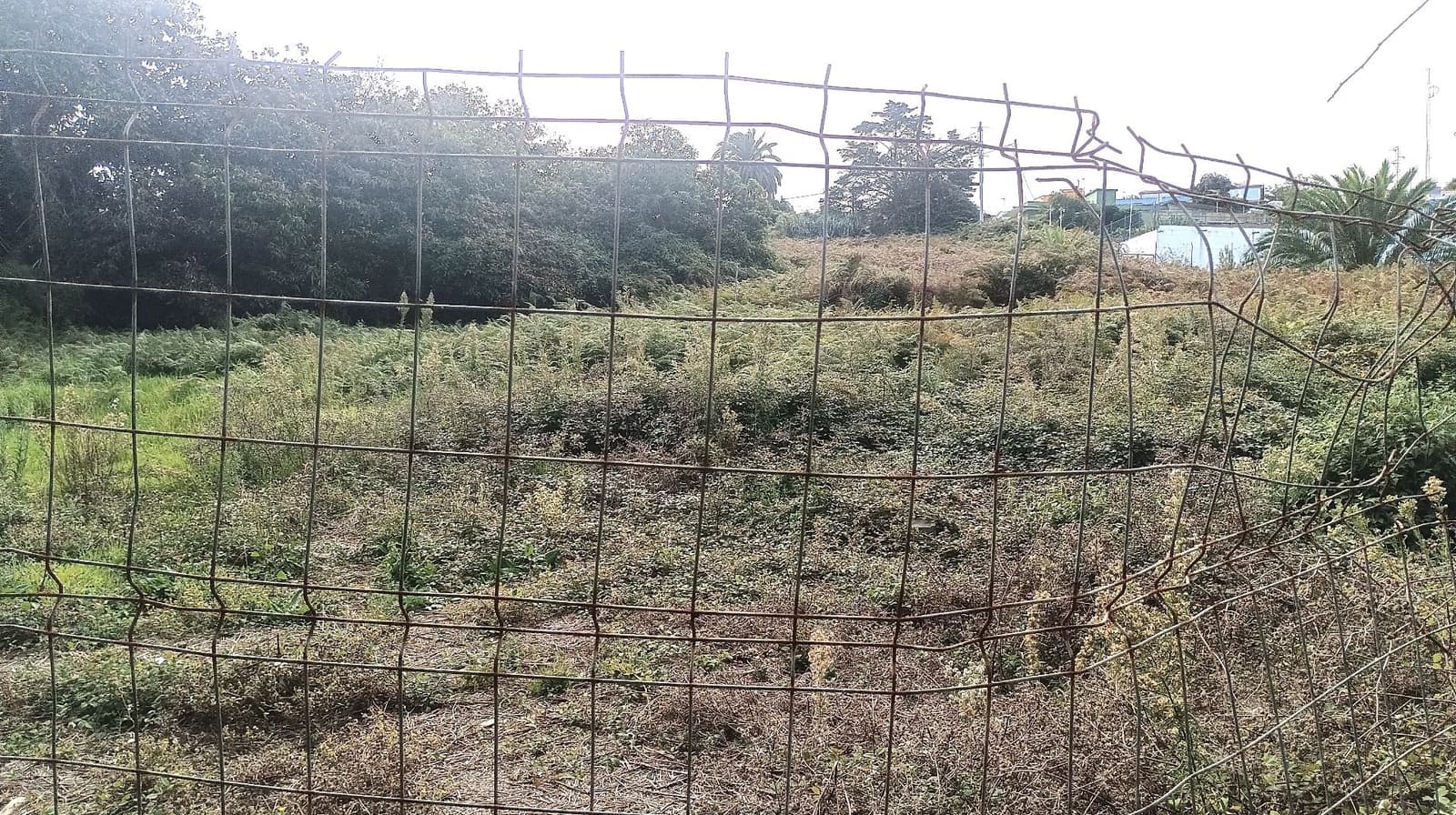 3 slaapkamer Villa te koop in Tacoronte met garage - € 750.000 (Ref: 9353225)