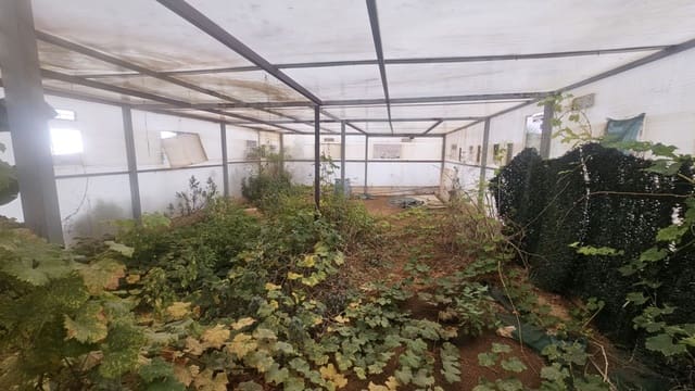 Tontti myytävänä paikassa San Cristóbal de La Laguna - 130 000 € (Ref: 9450127)