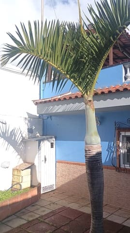 3 quarto Moradia para venda em Llano del Moro, Santa Cruz de Tenerife com garagem - 315 000 € (Ref: 9455935)