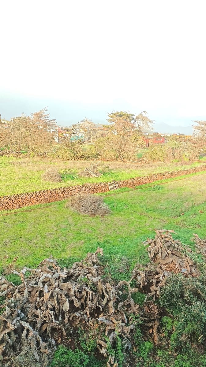 3 chambre Villa/Maison à vendre à Santa Cruz de Tenerife avec garage - 315 000 € (Ref: 9455935)