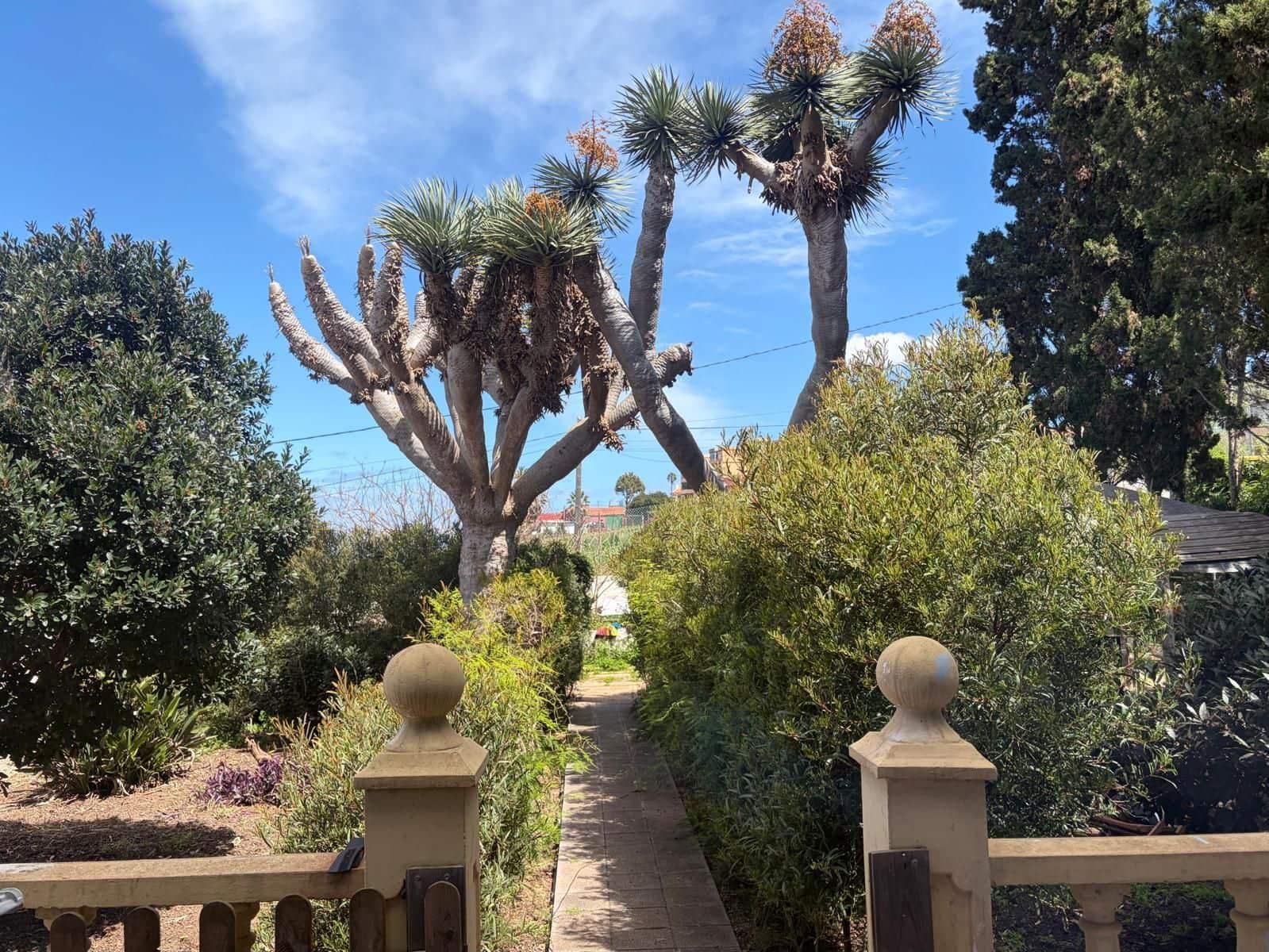 5 bedroom Villa for sale in Tacoronte - € 480,000 (Ref: 9731713)