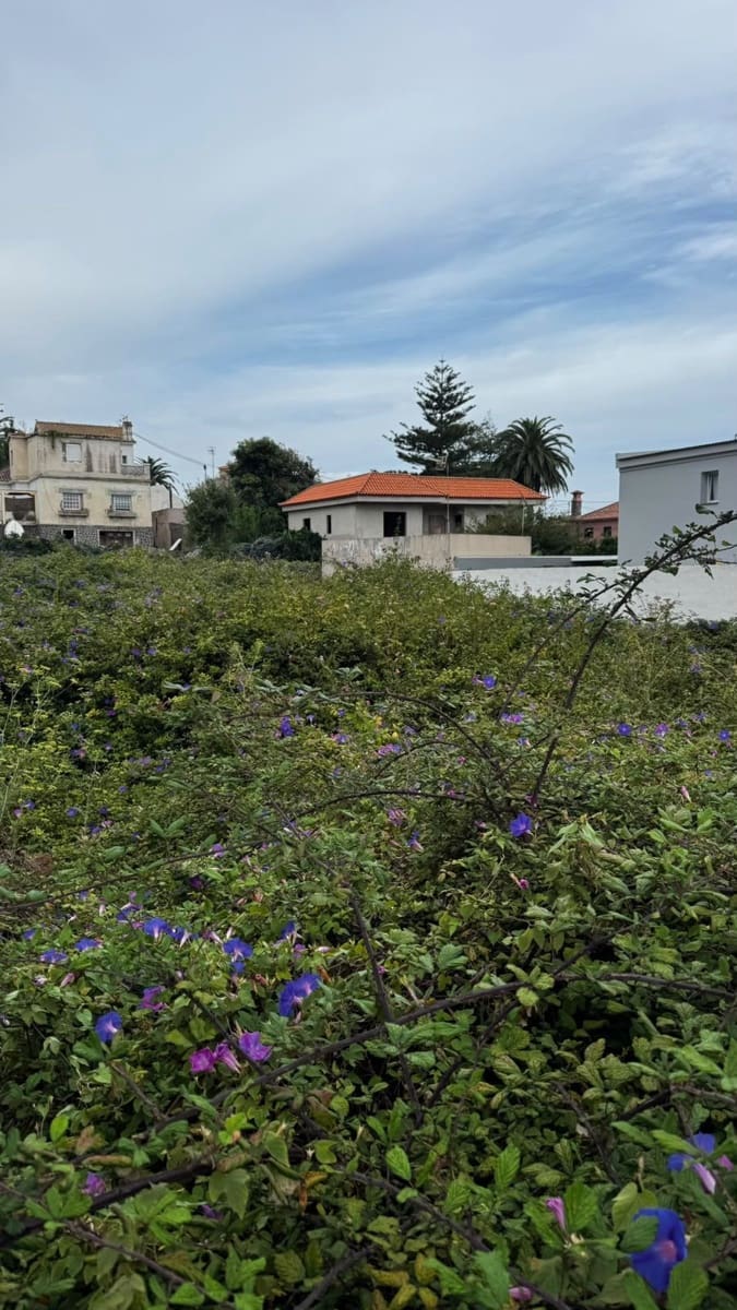 Building Plot for sale in San Cristobal de La Laguna - € 216,000 (Ref: 9926859)