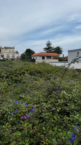 Solar/Parcela en San Cristóbal de La Laguna en venta - 216.000 € (Ref: 9926859)