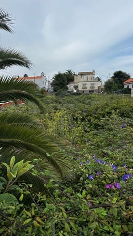 Solar/Parcela en San Cristóbal de La Laguna en venta - 216.000 € (Ref: 9926859)