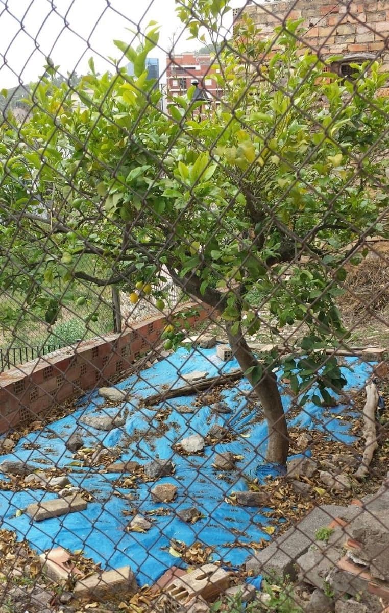 3 soveværelse Byhus til salg i Llucena  - € 80.000 (Ref: 5013991)