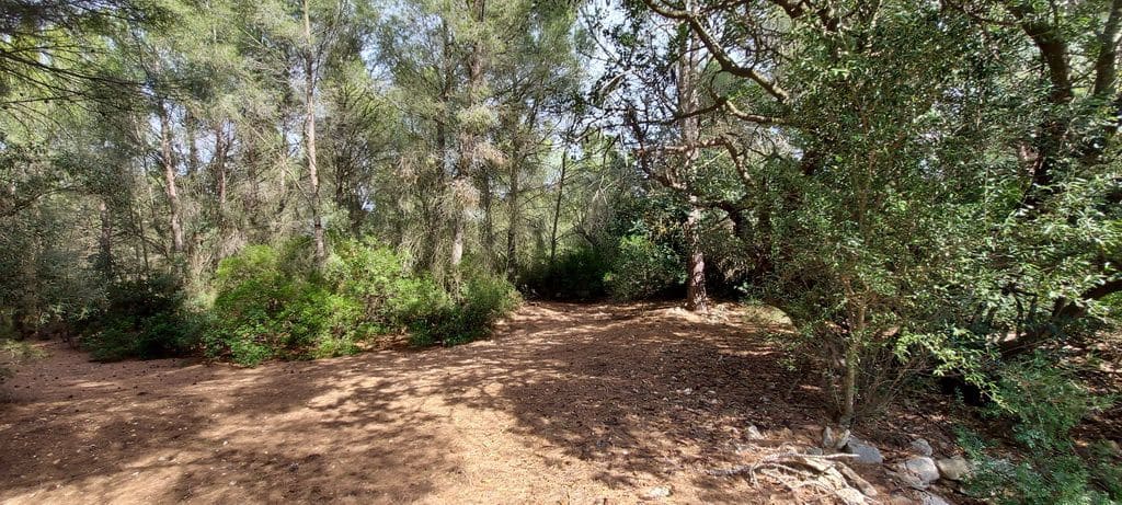 6 bedroom Villa for sale in Vall d'Alba - € 200,000 (Ref: 5673345)