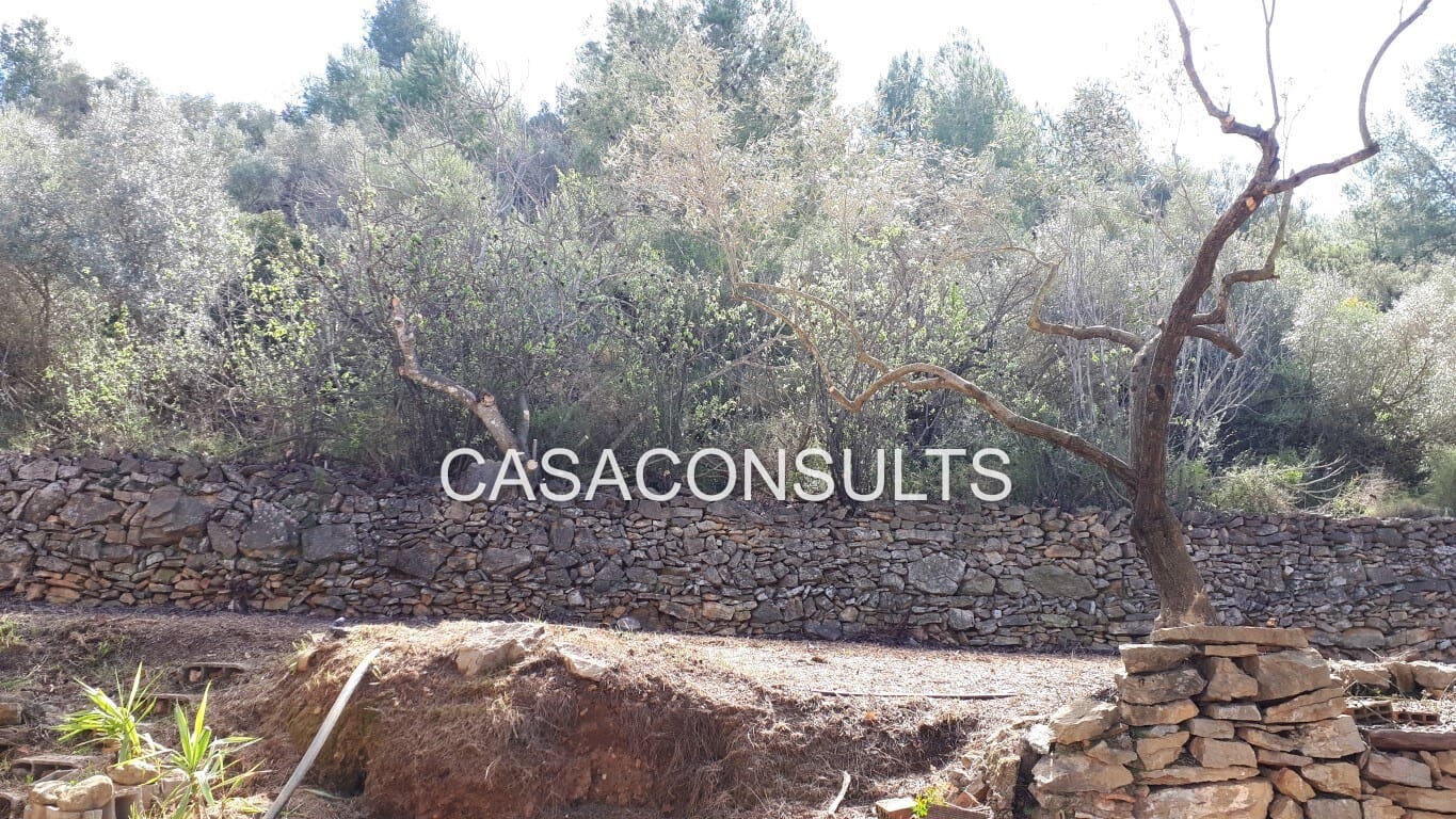 5 slaapkamer Finca/Landhuis te koop in Vilafames - € 65.000 (Ref: 8852399)