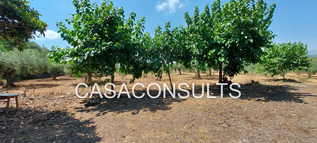 5 slaapkamer Finca/Landhuis te koop in Vilafames - € 65.000 (Ref: 8852399)