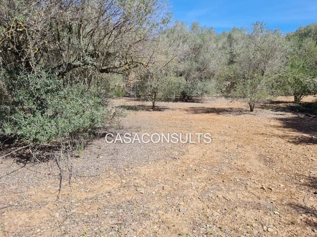 Finca/Country House for sale in Vilafamés - € 30,000 (Ref: 8852884)