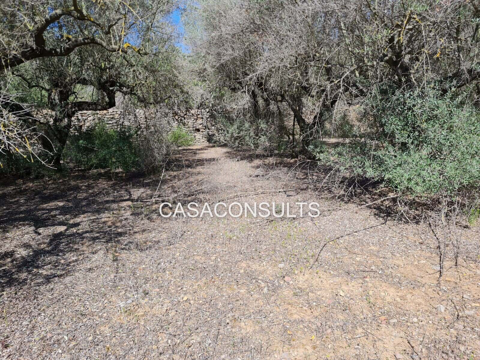 Finca/Maison de Campagne à vendre à Vilafames - 30 000 € (Ref: 8852884)