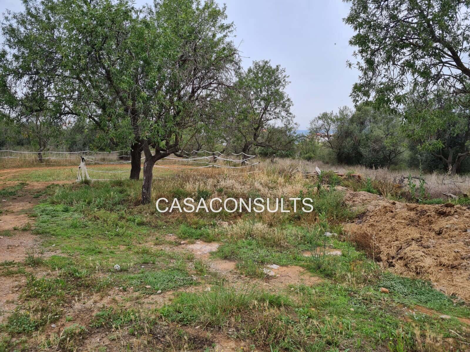 Maalaistalo myytävänä paikassa Vilafames - 180 000 € (Ref: 8863096)