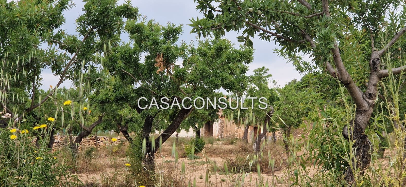 3 soveværelse Finca/Landehus til salg i Les Useres - € 150.000 (Ref: 9024817)