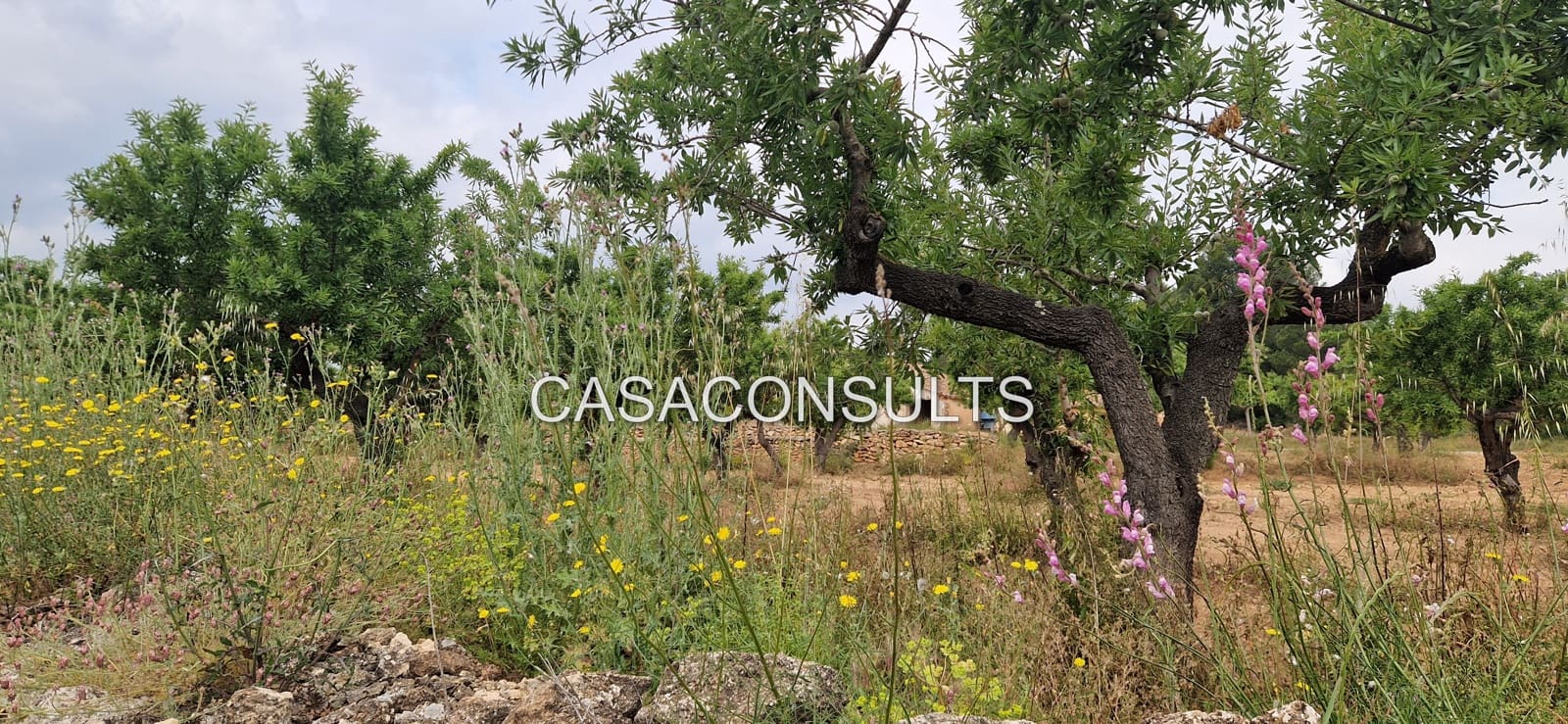 3 soveværelse Finca/Landehus til salg i Les Useres - € 150.000 (Ref: 9024817)