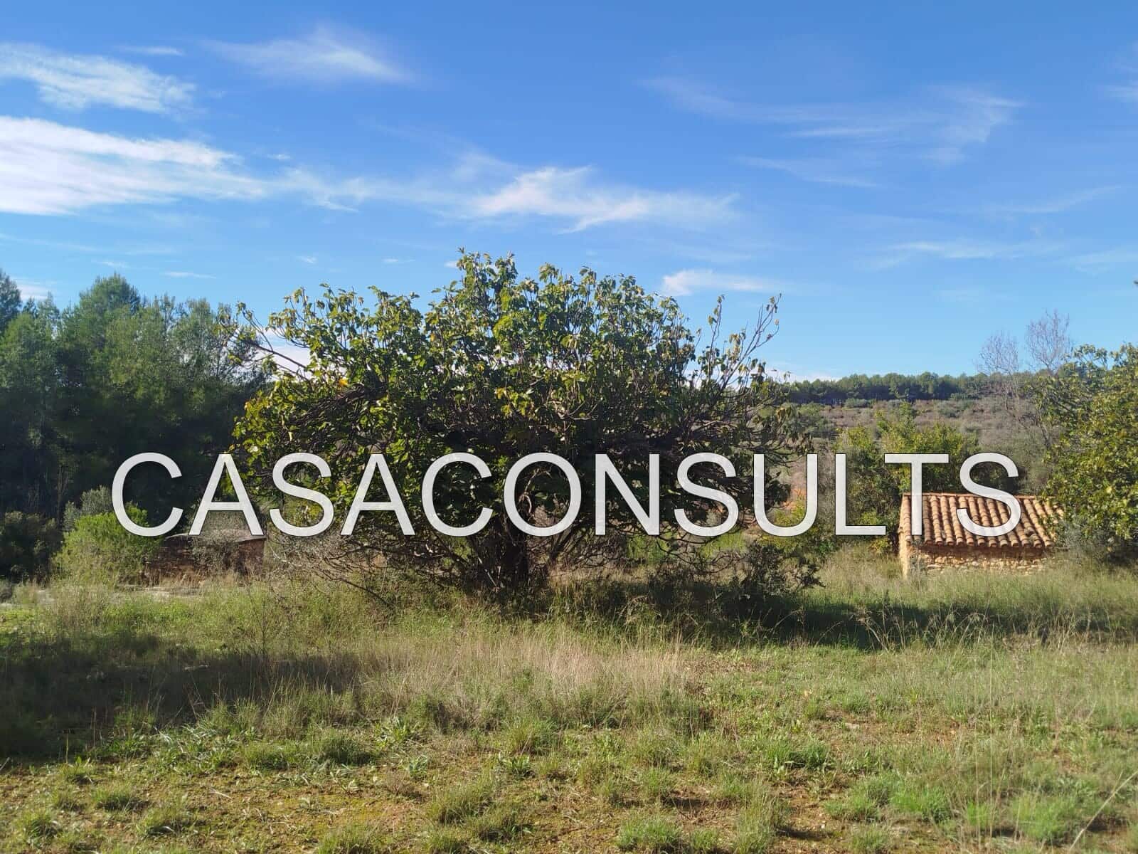 5 soveværelse Villa til salg i Atzeneta del Maestrat - € 89.000 (Ref: 9398141)