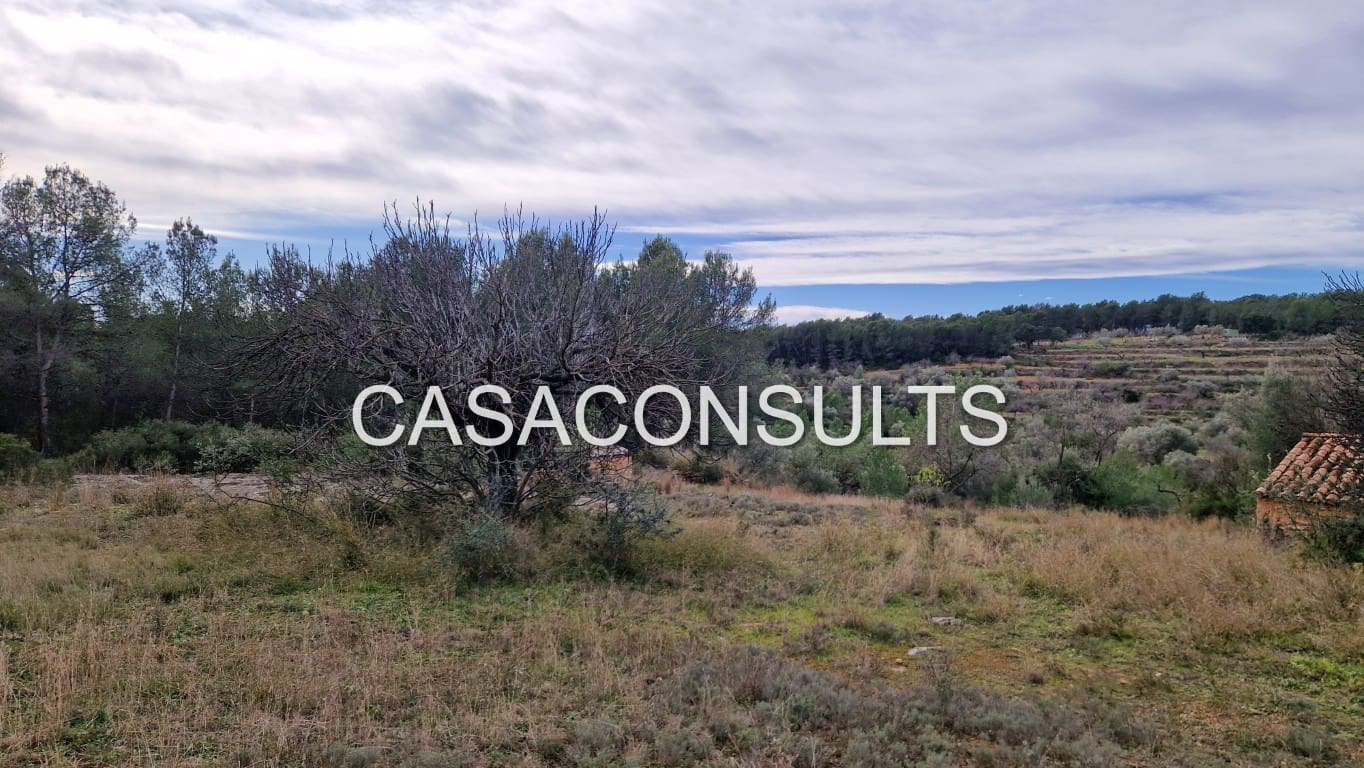 5 Zimmer Villa zu verkaufen in Atzeneta del Maestrat - 89.000 € (Ref: 9398141)