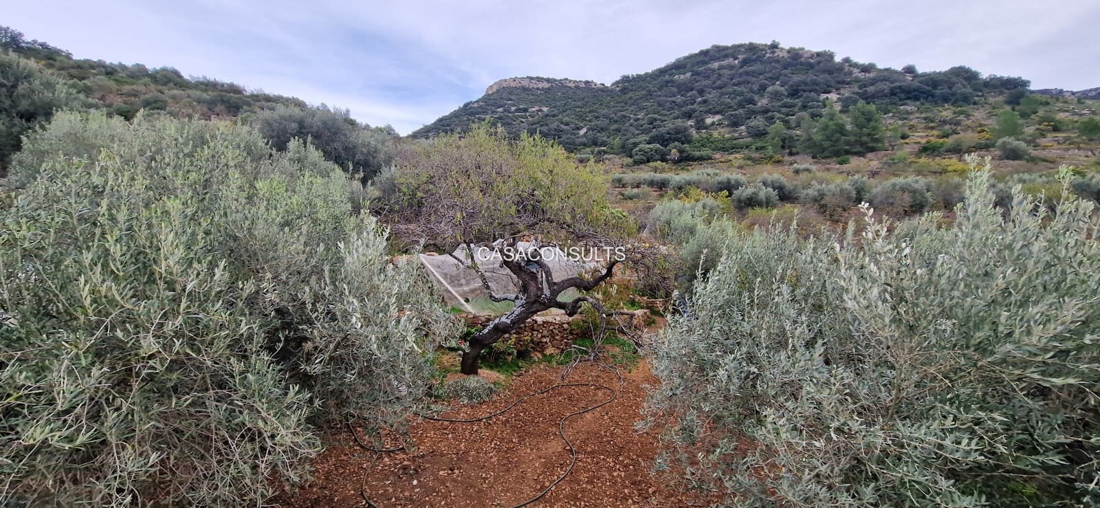 4 soveværelse Finca/Landehus til salg i Los Rosildos med garage - € 95.000 (Ref: 9413547)