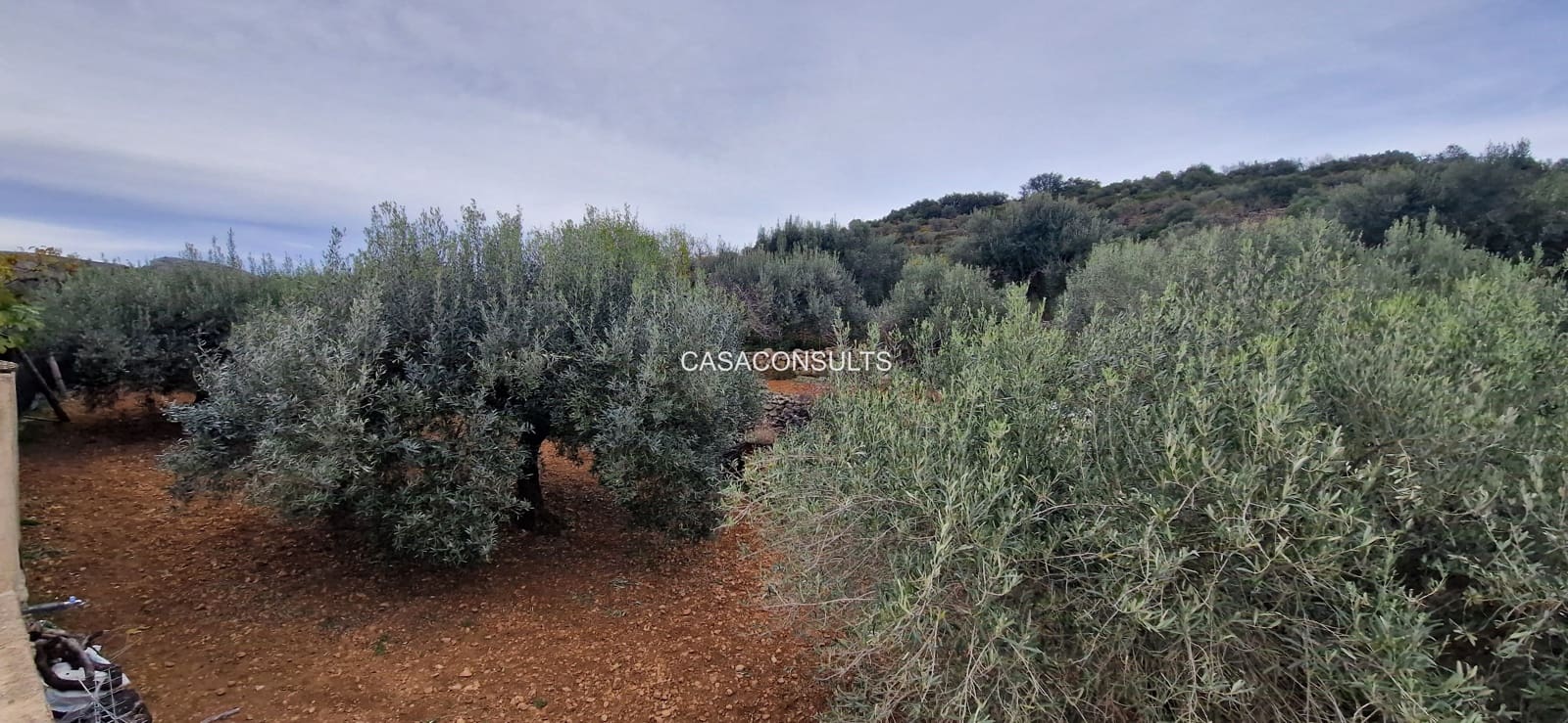 4 soveværelse Finca/Landehus til salg i Los Rosildos med garage - € 95.000 (Ref: 9413547)