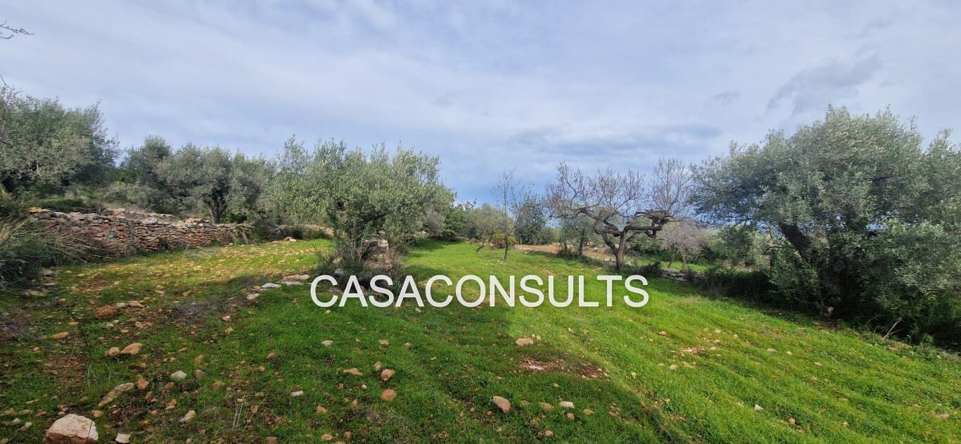 2 soveværelse Villa til salg i Les Useres - € 35.000 (Ref: 9571489)