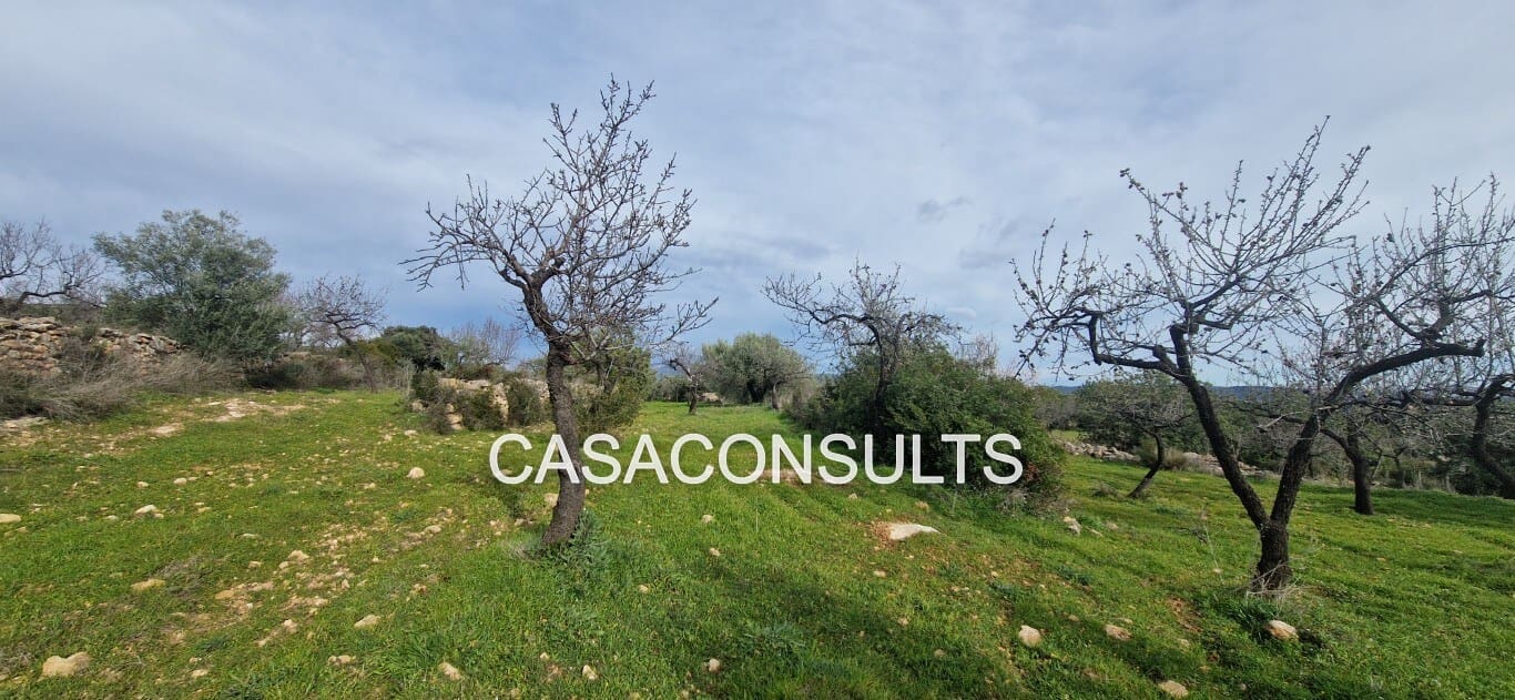 2 soveværelse Villa til salg i Les Useres - € 35.000 (Ref: 9571489)