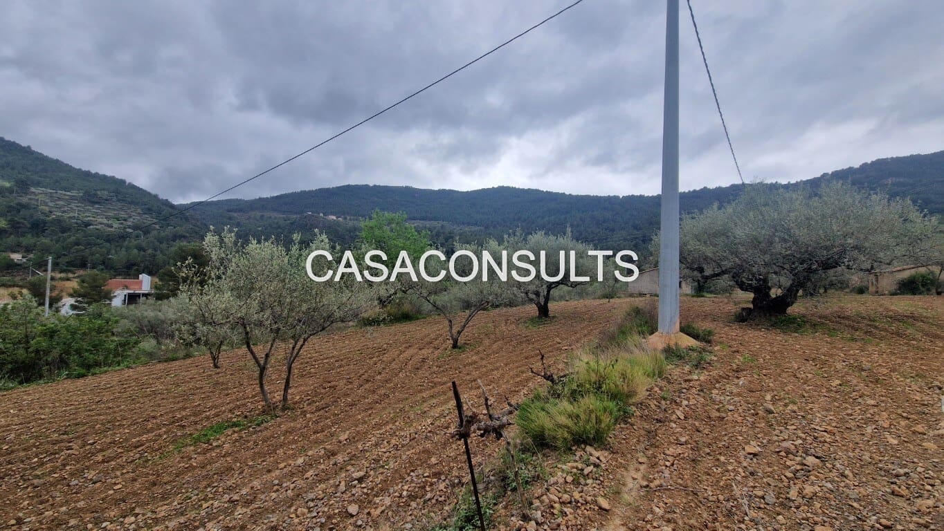 1 soverom Hus til salgs i Llucena  - € 32 000 (Ref: 9707992)