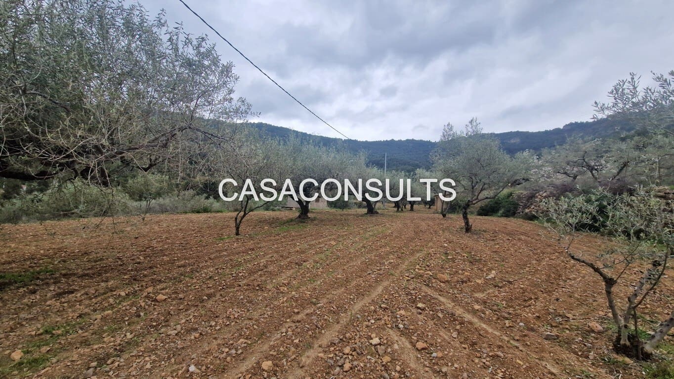 1 soverom Hus til salgs i Llucena  - € 32 000 (Ref: 9707992)