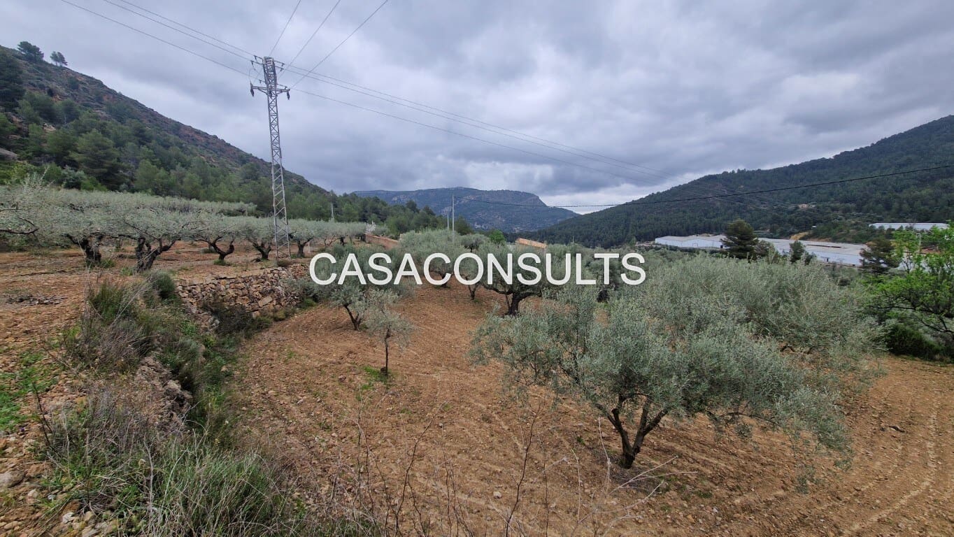 1 soverom Hus til salgs i Llucena  - € 32 000 (Ref: 9707992)