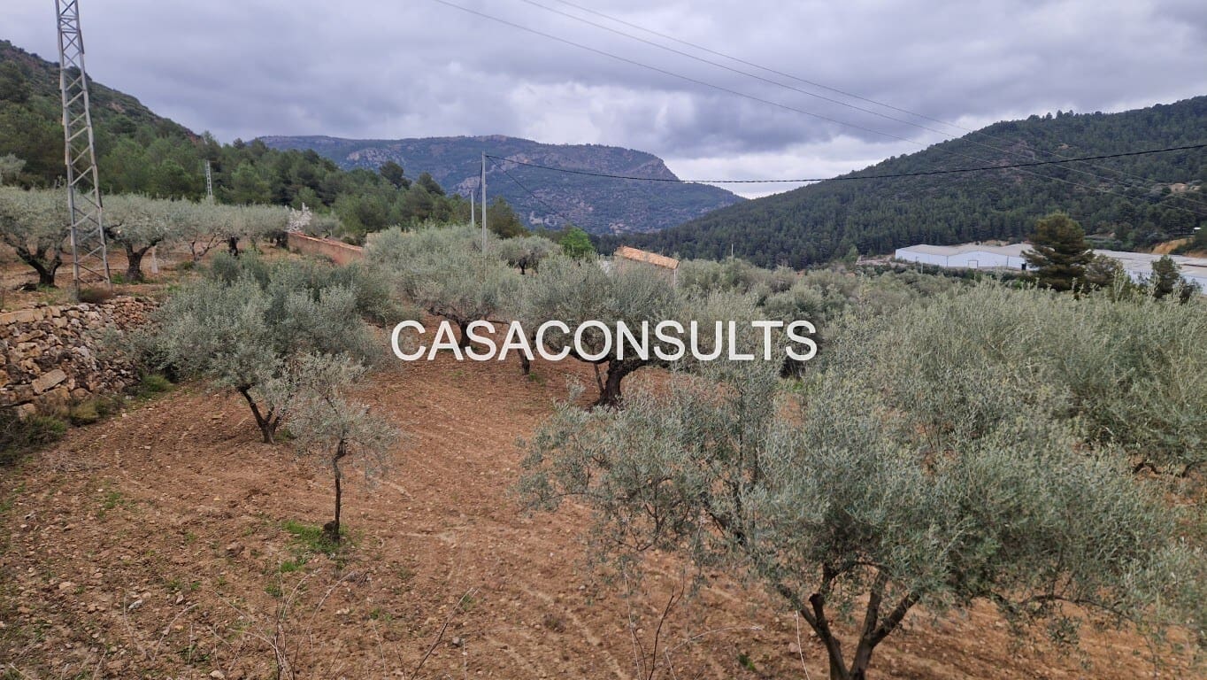 1 soverom Hus til salgs i Llucena  - € 32 000 (Ref: 9707992)