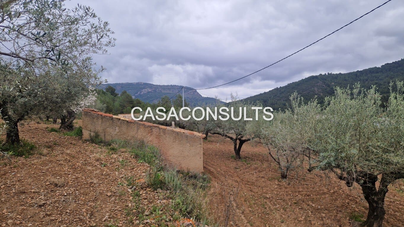 1 soverom Hus til salgs i Llucena  - € 32 000 (Ref: 9707992)